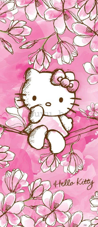 Foto tapeta: Hello Kitty (1) - 211x91 cm