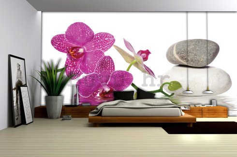 Foto tapeta: Orhideja sa kamenjem - 184x254 cm