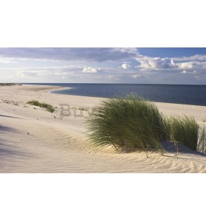 Foto tapeta: Pješčana plaža (1) - 184x254 cm