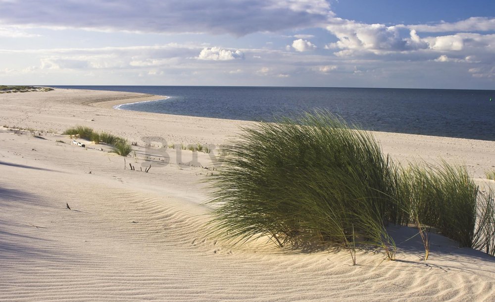 Foto tapeta: Pješčana plaža (1) - 254x368 cm