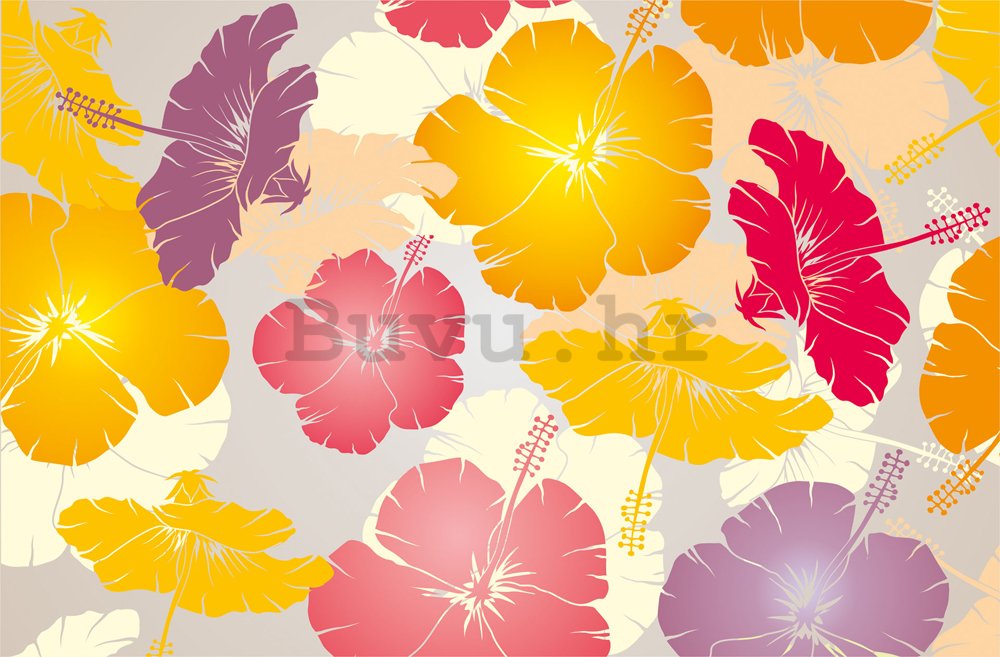 Foto tapeta: Šareno cvijeće - 184x254 cm