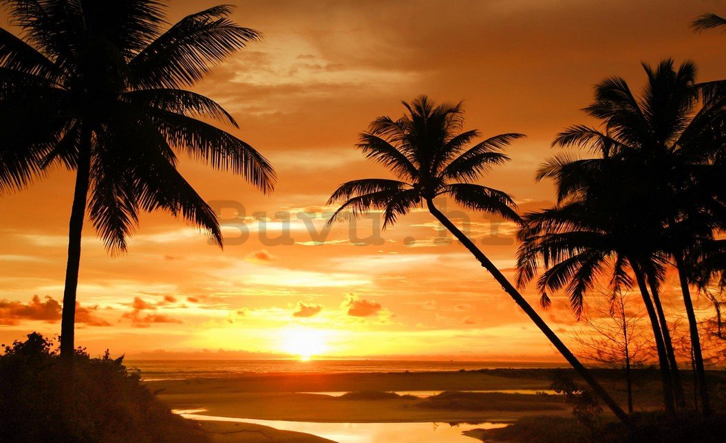 Foto tapeta: Zalazak sunca na plaži (2) - 254x368 cm