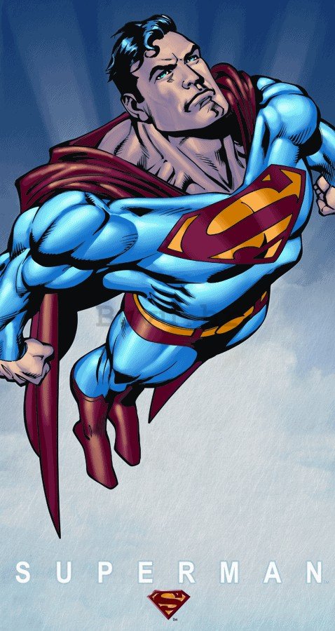 Metalna tabla: Superman - 40x22 cm