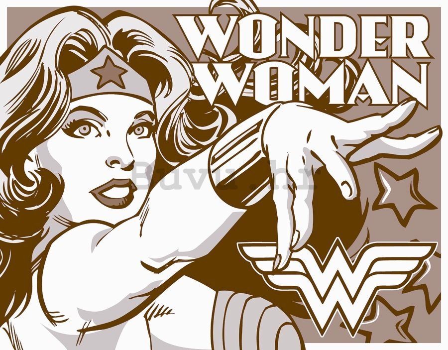 Metalna tabla - Wonder Woman (dvobojnica)