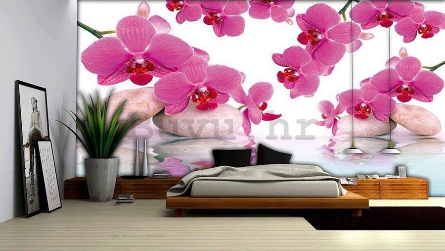 Foto tapeta Vlies: Orhideja i kamenje - 184x254 cm