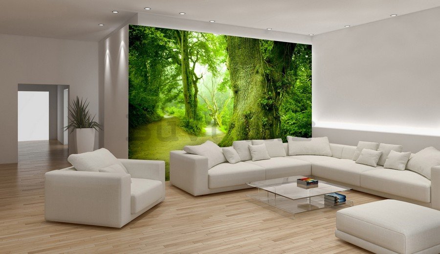 Foto tapeta Vlies: Čarobna šuma - 184x254 cm