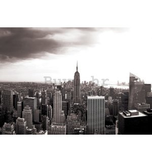 Foto tapeta: Manhattan (Crno-bijeli) - 104x152,5 cm