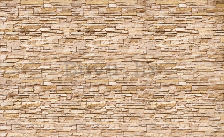 Foto tapeta Vlies: Kameni zid (2) - 184x254 cm