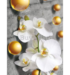 Foto tapeta: Orhideja i žute kuglice - 254x184 cm