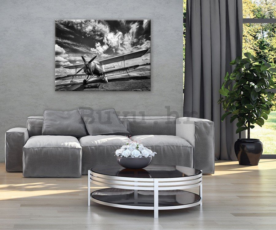 Slika na platnu: Dvokrilac (crno-bijeli) - 75x100 cm