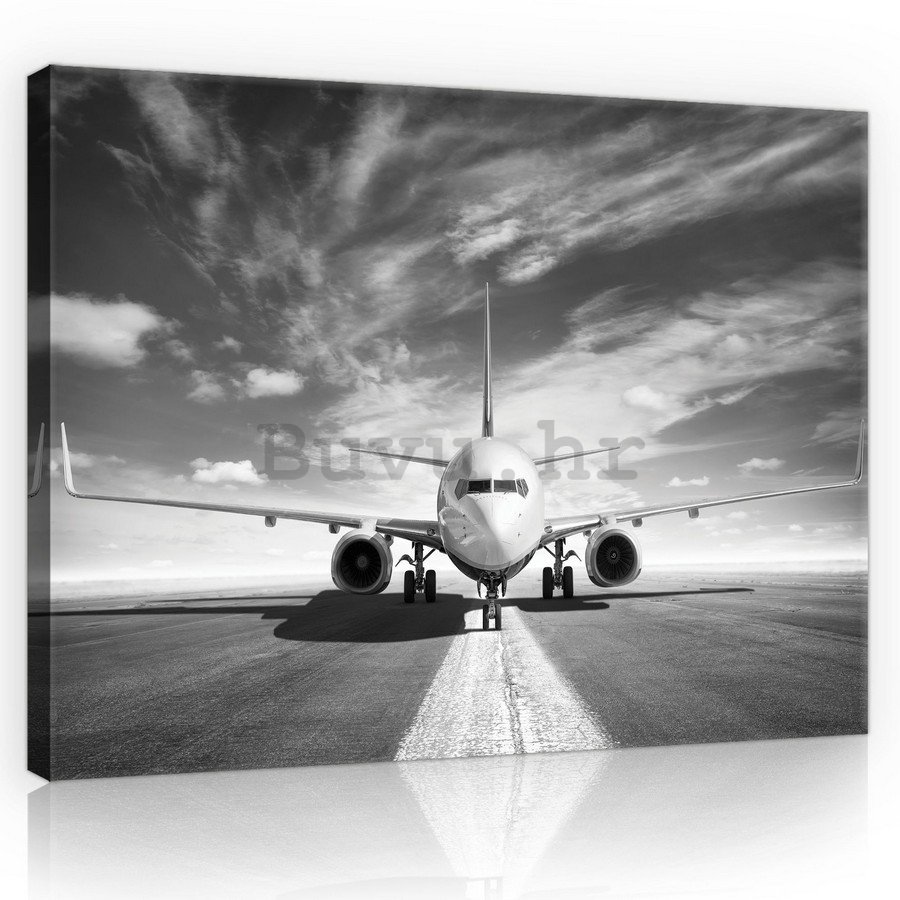 Slika na platnu: Mlazni zrakoplov (crno-bijeli) - 75x100 cm