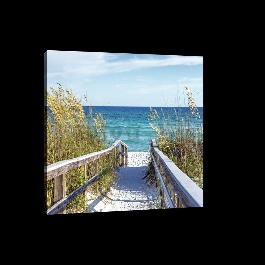 Slika na platnu: Put na plažu (4) - 75x100 cm