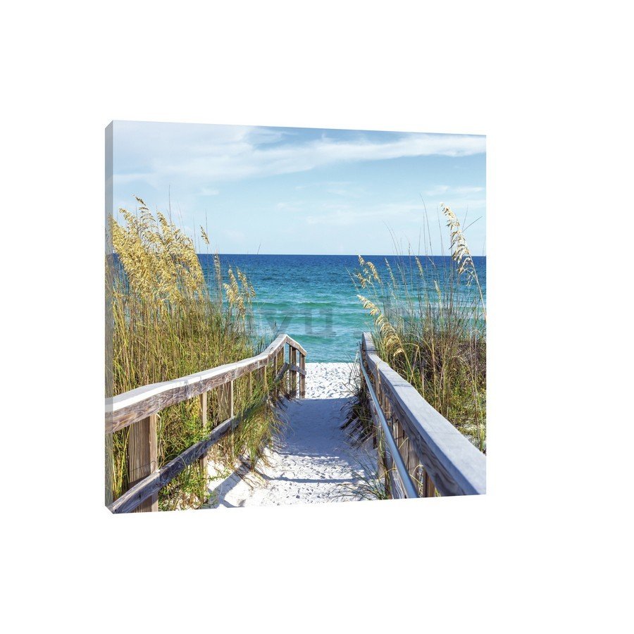 Slika na platnu: Put na plažu (4) - 75x100 cm