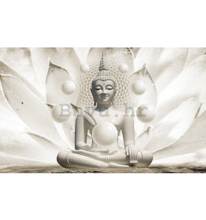 Slika na platnu: Bijeli budha - 75x100 cm