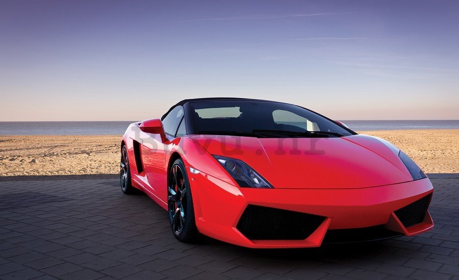 Slika na platnu: Lamborghini - 75x100 cm