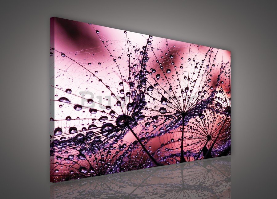 Slika na platnu: Kapi kiše (1) - 75x100 cm