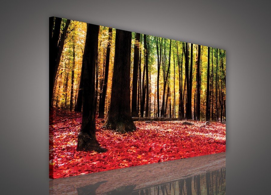 Slika na platnu: Šuma (3) - 75x100 cm