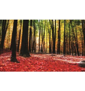 Slika na platnu: Šuma (3) - 75x100 cm