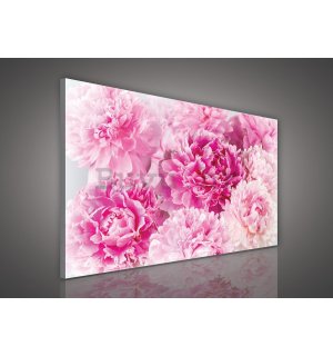 Slika na platnu: Ružičasta ruža (2) - 75x100 cm