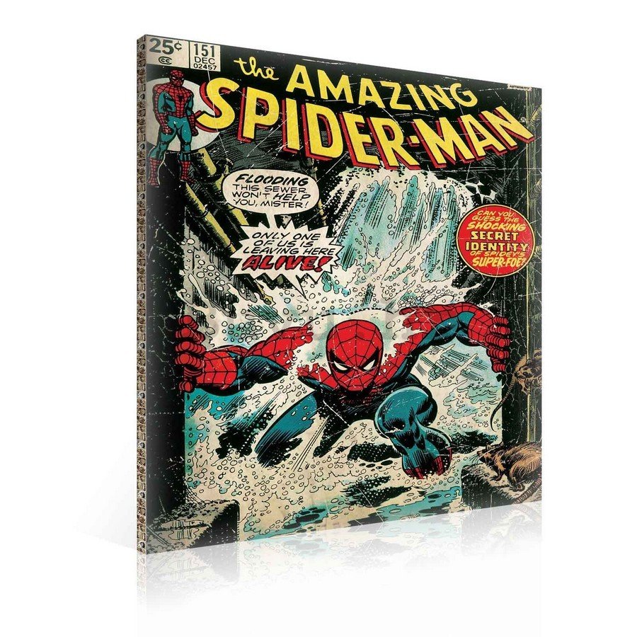 Slika na platnu: Amazing Spiderman (comics) - 75x100 cm
