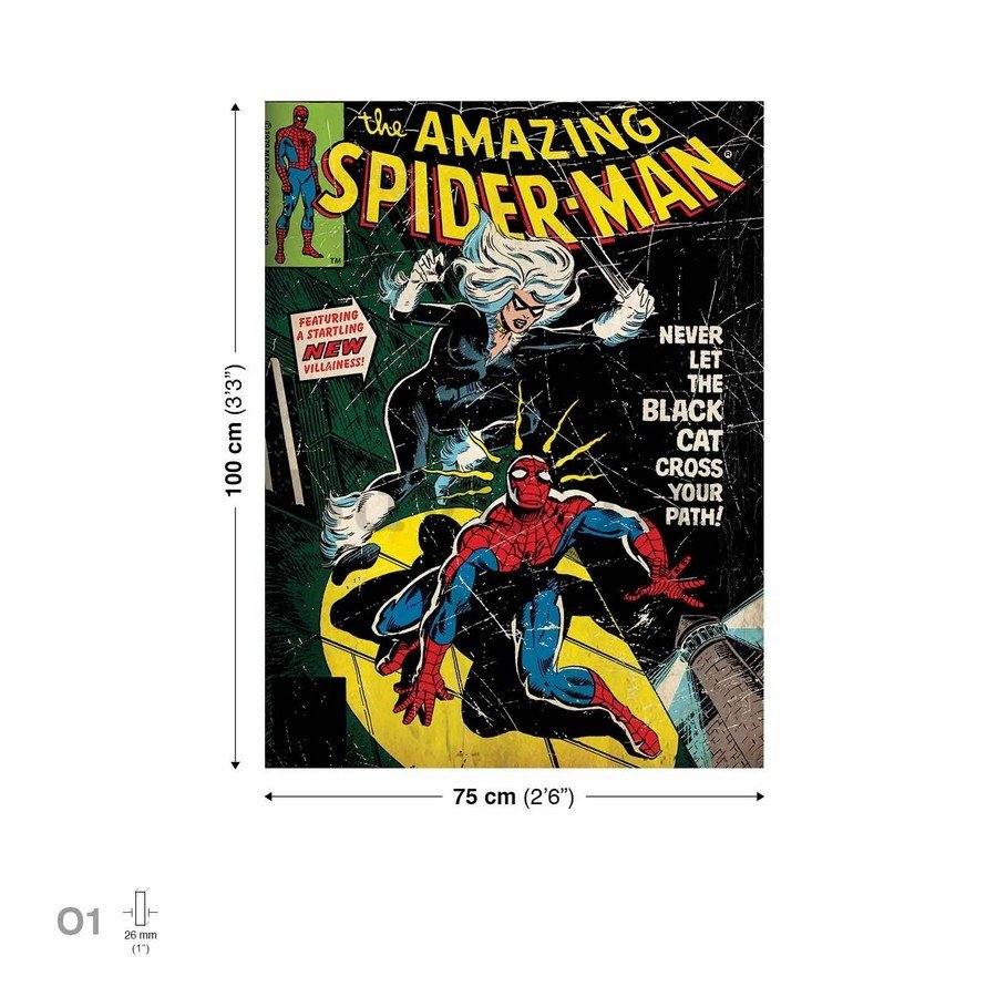 Slika na platnu: The Amazing Spider-man (comics) - 75x100 cm