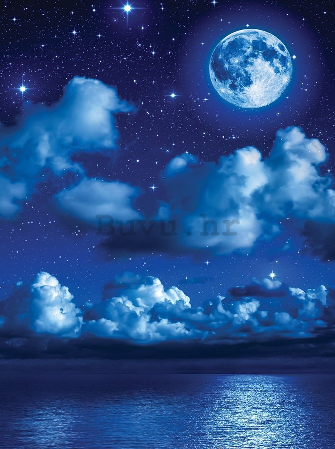 Foto tapeta: Mjesečna noć - 254x184 cm