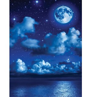 Foto tapeta: Mjesečna noć - 254x184 cm