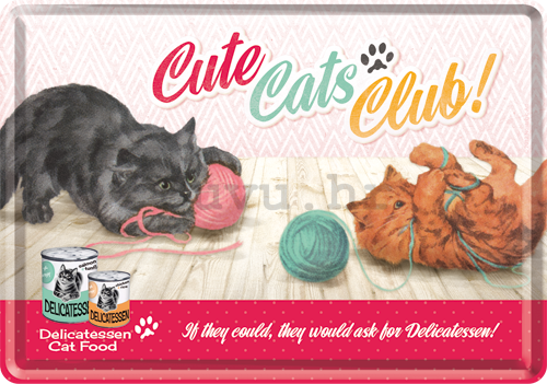 Metalna razglednica - Cute Cats Club!