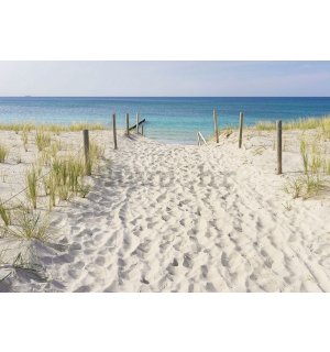Foto tapeta Vlies: Put na plažu (3) - 254x368 cm