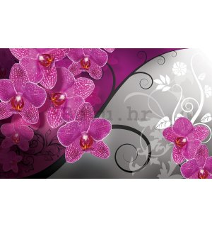 Foto tapeta Vlies: Orhideje (3) - 254x368 cm