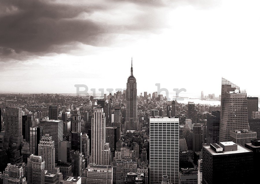 Foto tapeta Vlies: Manhattan (Crno-bijeli) - 254x368 cm