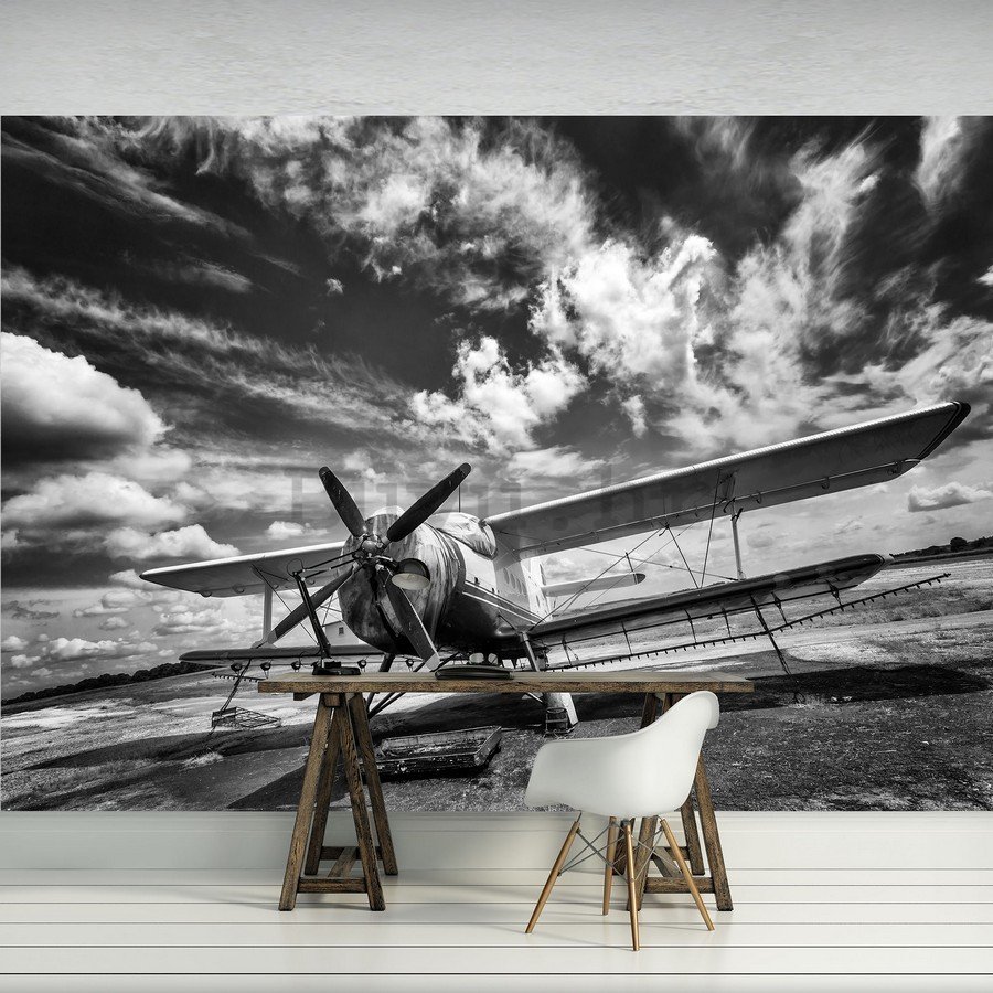 Foto tapeta: Dvokrilac (crno-bijeli) - 184x254 cm