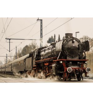 Foto tapeta: Parna lokomotiva (1) - 184x254 cm