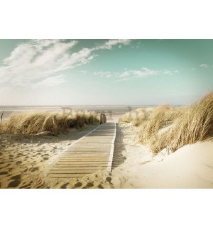 Foto tapeta: Put na plažu (8) - 184x254 cm