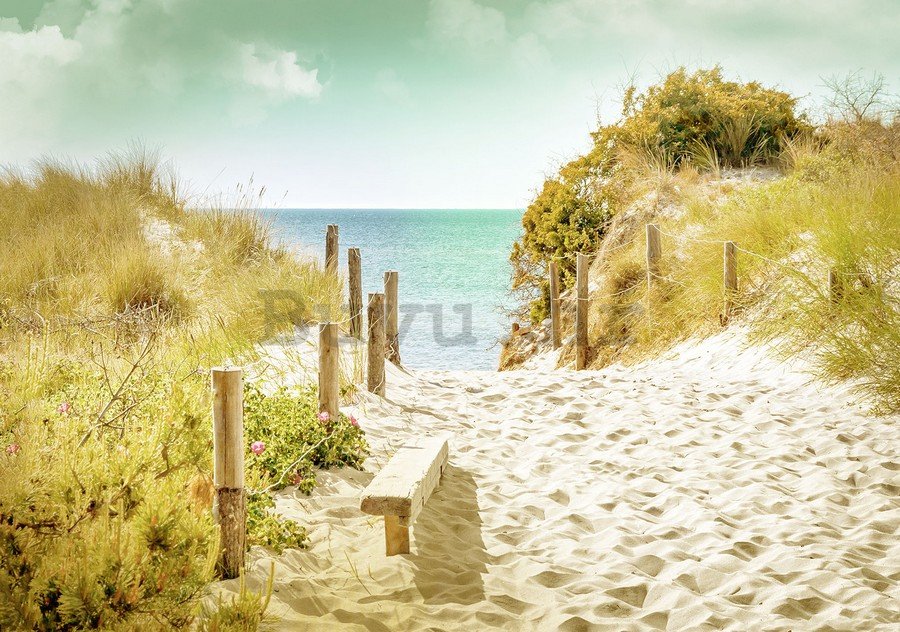 Foto tapeta: Put na plažu (9) - 184x254 cm