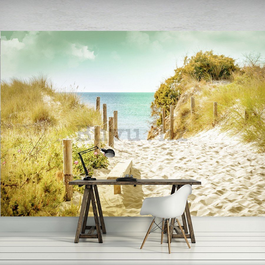 Foto tapeta: Put na plažu (9) - 254x368 cm
