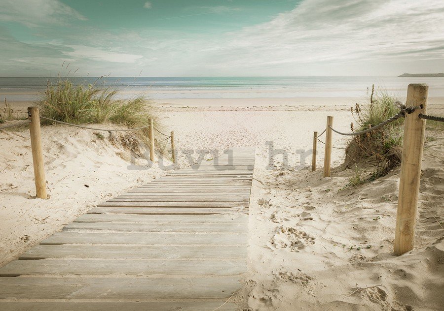Foto tapeta: Put na plažu (10) - 184x254 cm