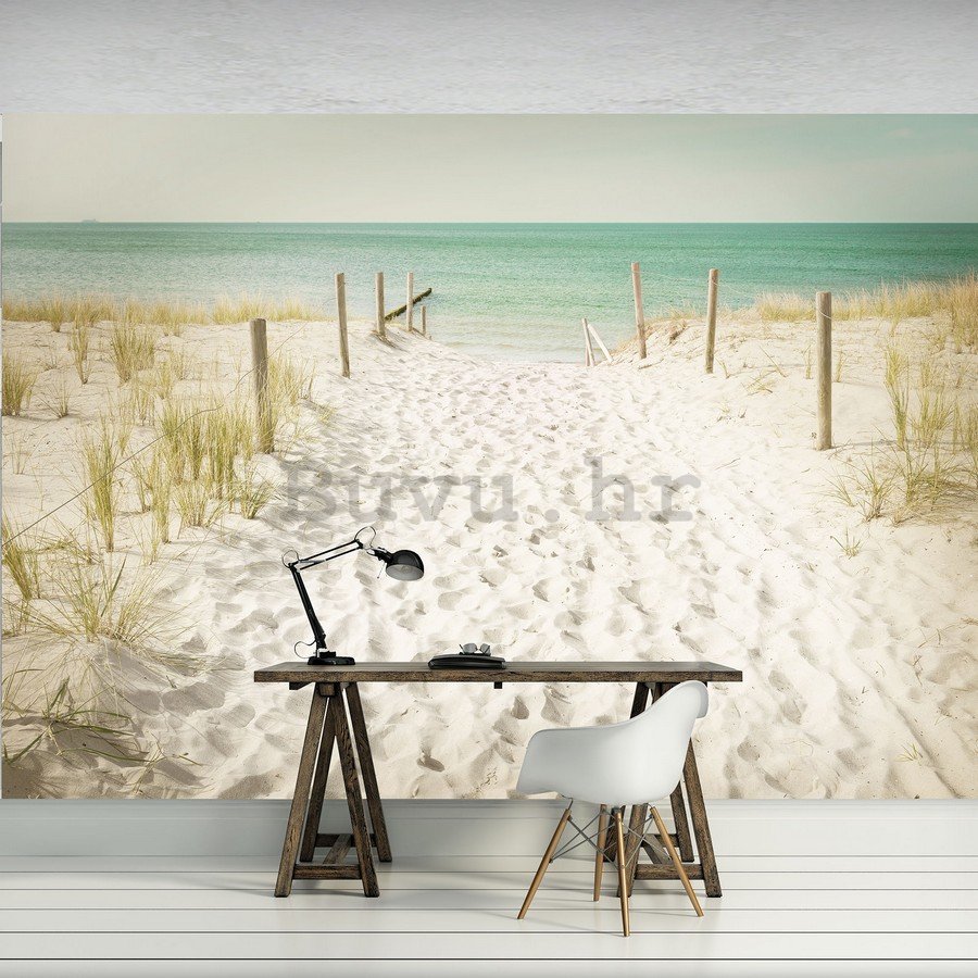 Foto tapeta: Put na plažu (11) - 184x254 cm