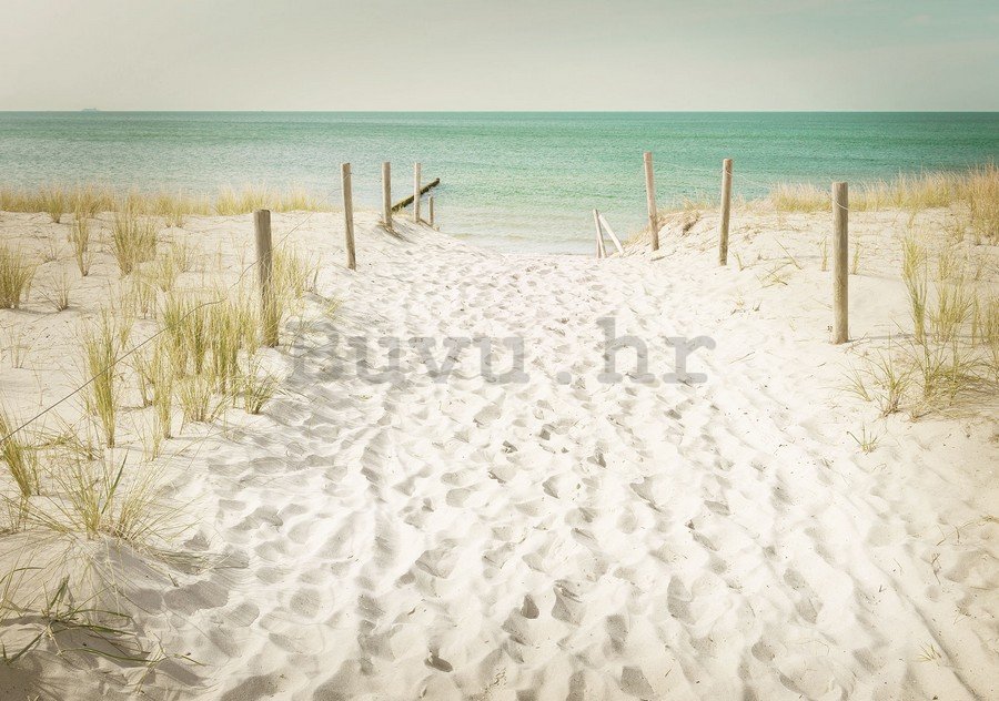Foto tapeta: Put na plažu (11) - 254x368 cm