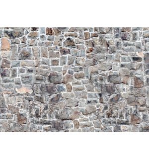 Foto tapeta: Kameni zid (7) - 184x254 cm