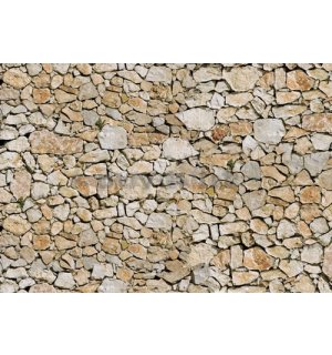 Foto tapeta Vlies: Kameni zid (5) - 254x368 cm