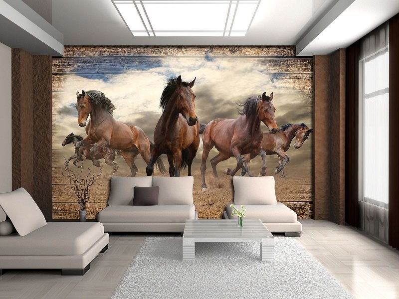 Foto tapeta Vlies: Konji (3) - 254x368 cm