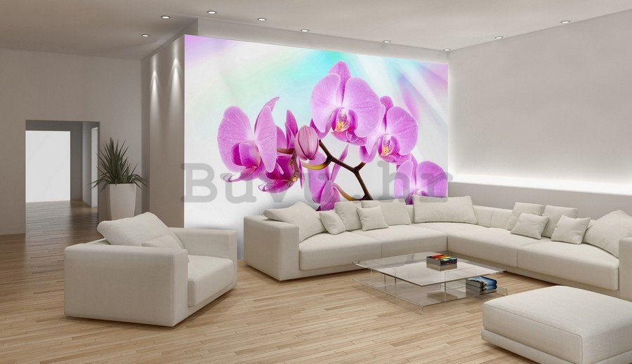 Foto tapeta Vlies: Ljubičasta Orhideja - 254x368 cm