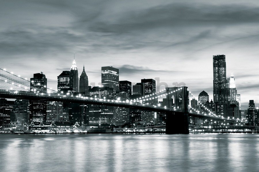 Foto tapeta Vlies: Brooklyn Bridge (crno-bijeli) - 254x368 cm