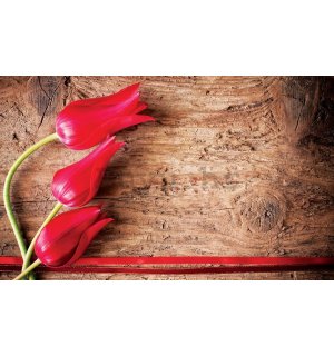 Foto tapeta Vlies: Crveni tulipani (2)  - 184x254 cm