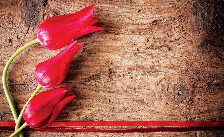 Foto tapeta Vlies: Crveni tulipani (2) - 254x368 cm