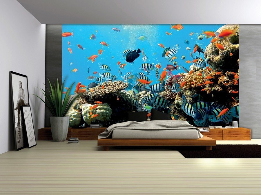 Foto tapeta Vlies: Koraljni greben - 184x254 cm