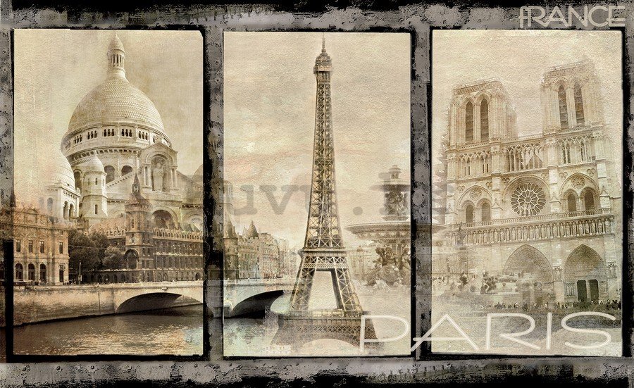 Foto tapeta Vlies: Pariz (dominantan) - 184x254 cm