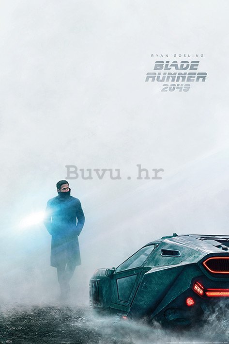 Poster - Blade Runner 2049 (1)