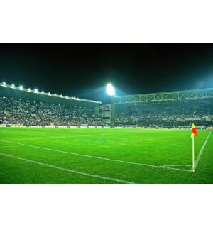 Foto tapeta: Nogometni Stadion (3) - 184x254 cm